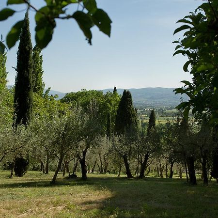 Villa Degli Ulivi Assisi Exterior photo