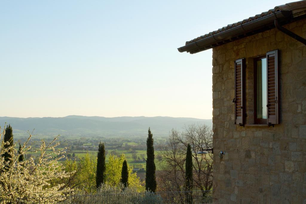 Villa Degli Ulivi Assisi Exterior photo